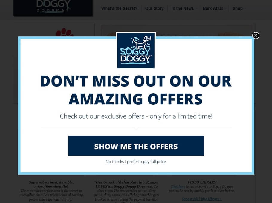 A pop-up advertisement for Soggy Doggy featuring a blue logo and white background with the text, "DON'T MISS OUT ON OUR AMAZING OFFERS. Check out our exclusive offers- only for a limited time! SHOW ME THE OFFERS" and the option, "No thanks, I prefer to pay full price.